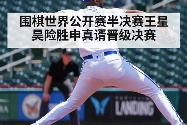 围棋世界公开赛半决赛王星昊险胜申真谞晋级决赛