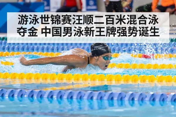游泳世锦赛汪顺二百米混合泳夺金 中国男泳新王牌强势诞生